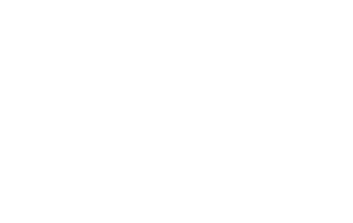 Stiftelsen Dam